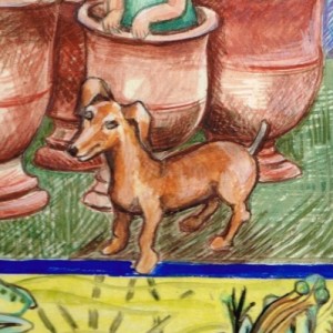  "le soleil et les grenouilles" 